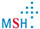 MSH Medical School Hamburg